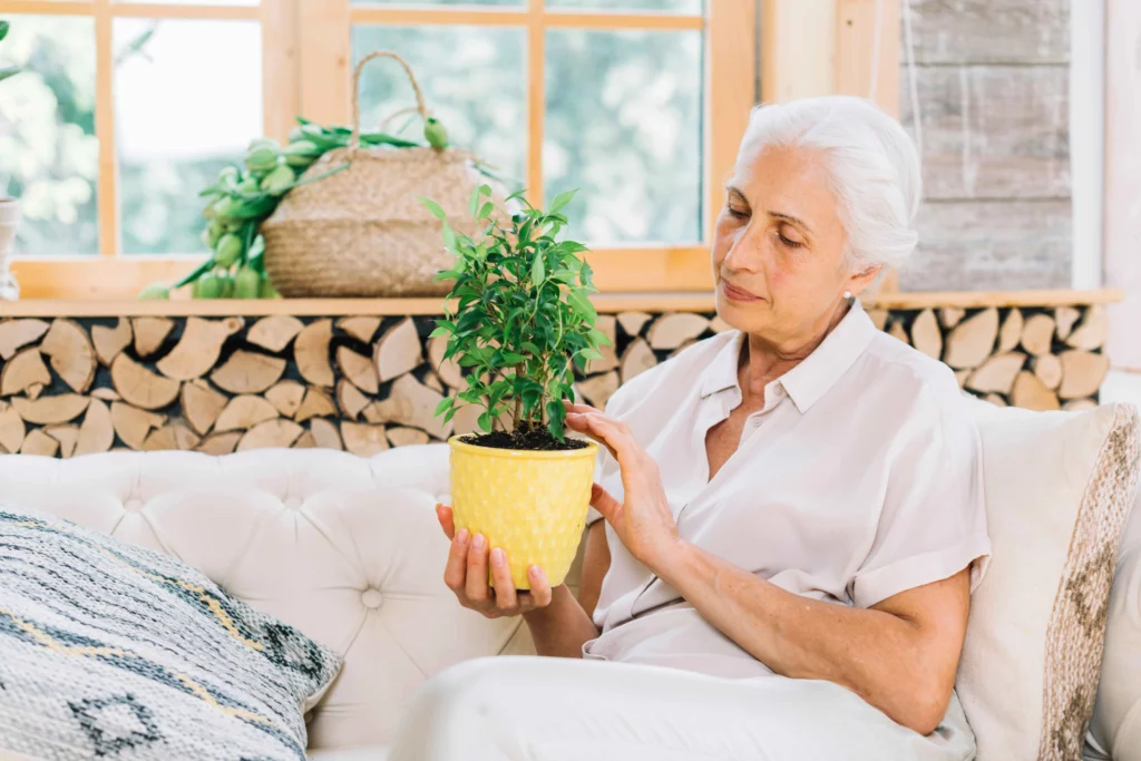 Caring for aging parents: benefits of virtual companions